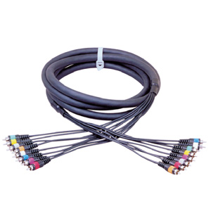 AML7004